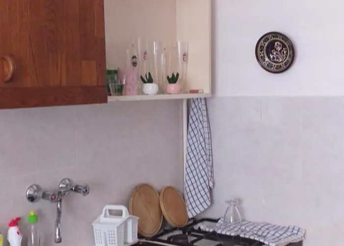 Csilla Nyaralo שיופוק
