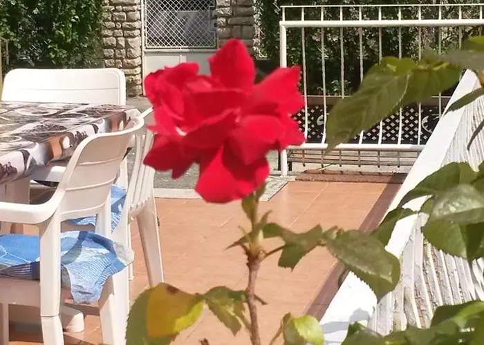 Csilla Nyaralo שיופוק
